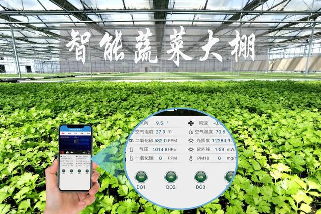 蔬菜配送了解新疆阿圖什市智能蔬菜大棚讓村民大開眼界